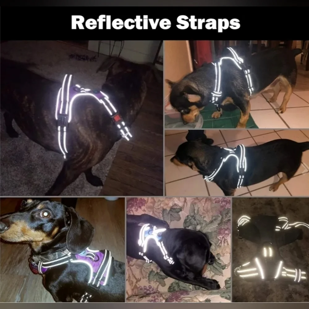 PhoePet Orange Reflective No Pull Dog Harness w/ Handle Size Large EUC